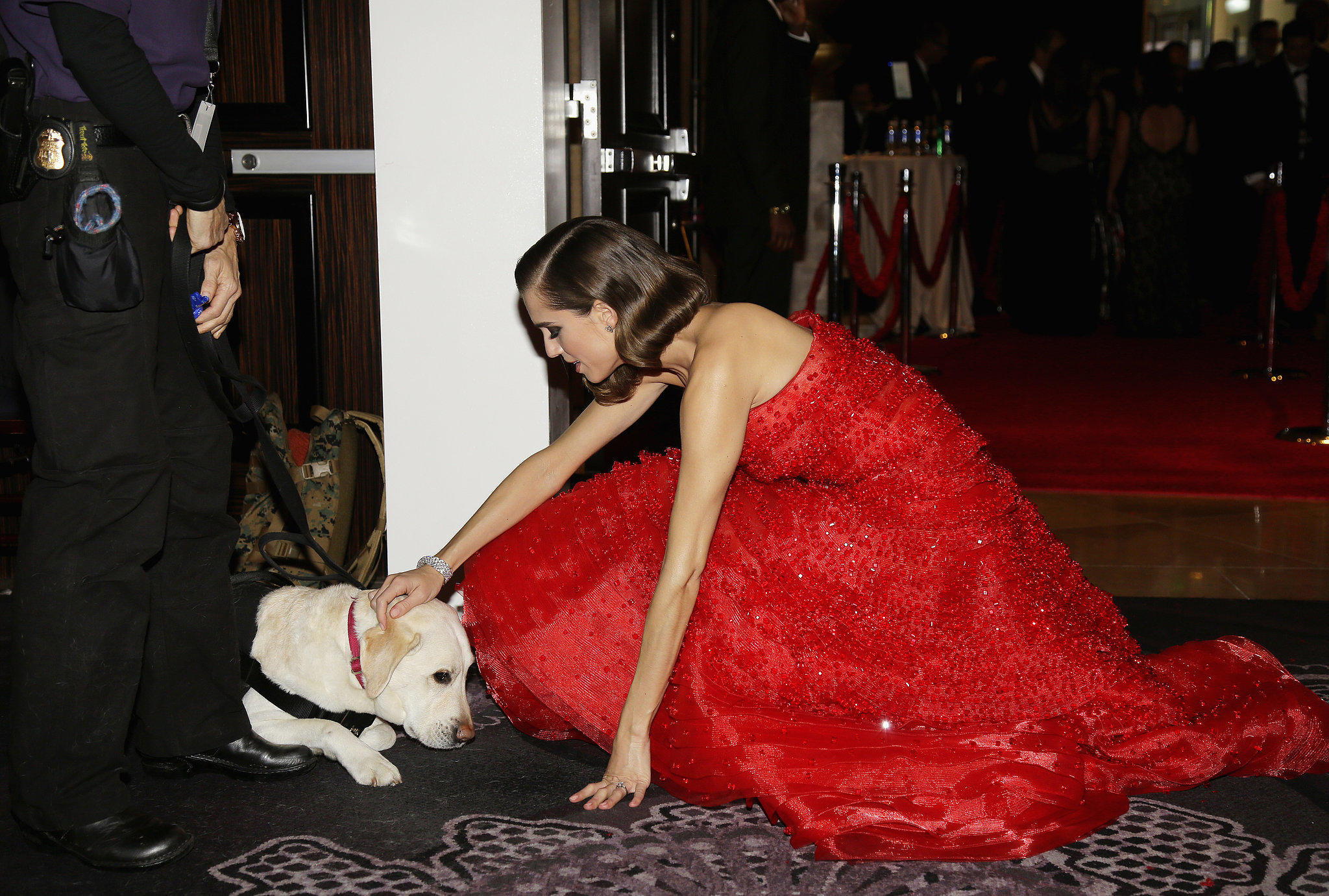 Allison Williams crouched down pet pup