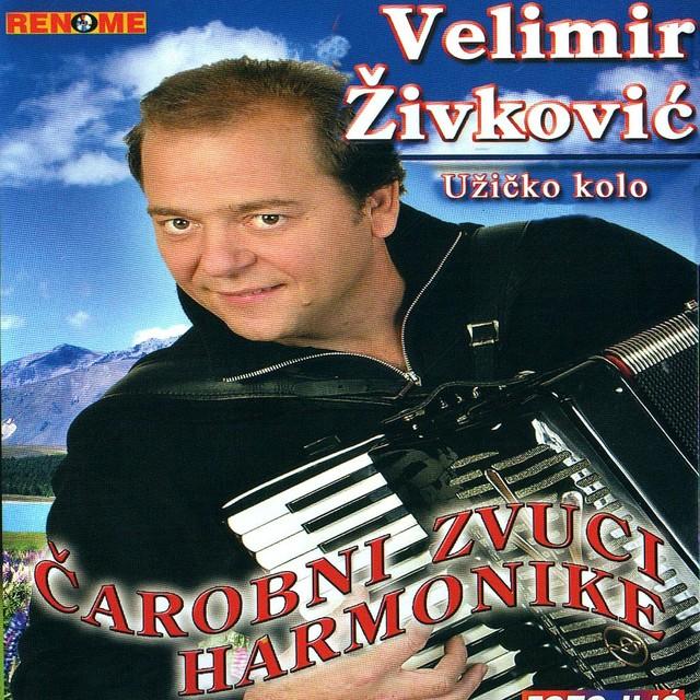 Velimir Zivkovic 2005